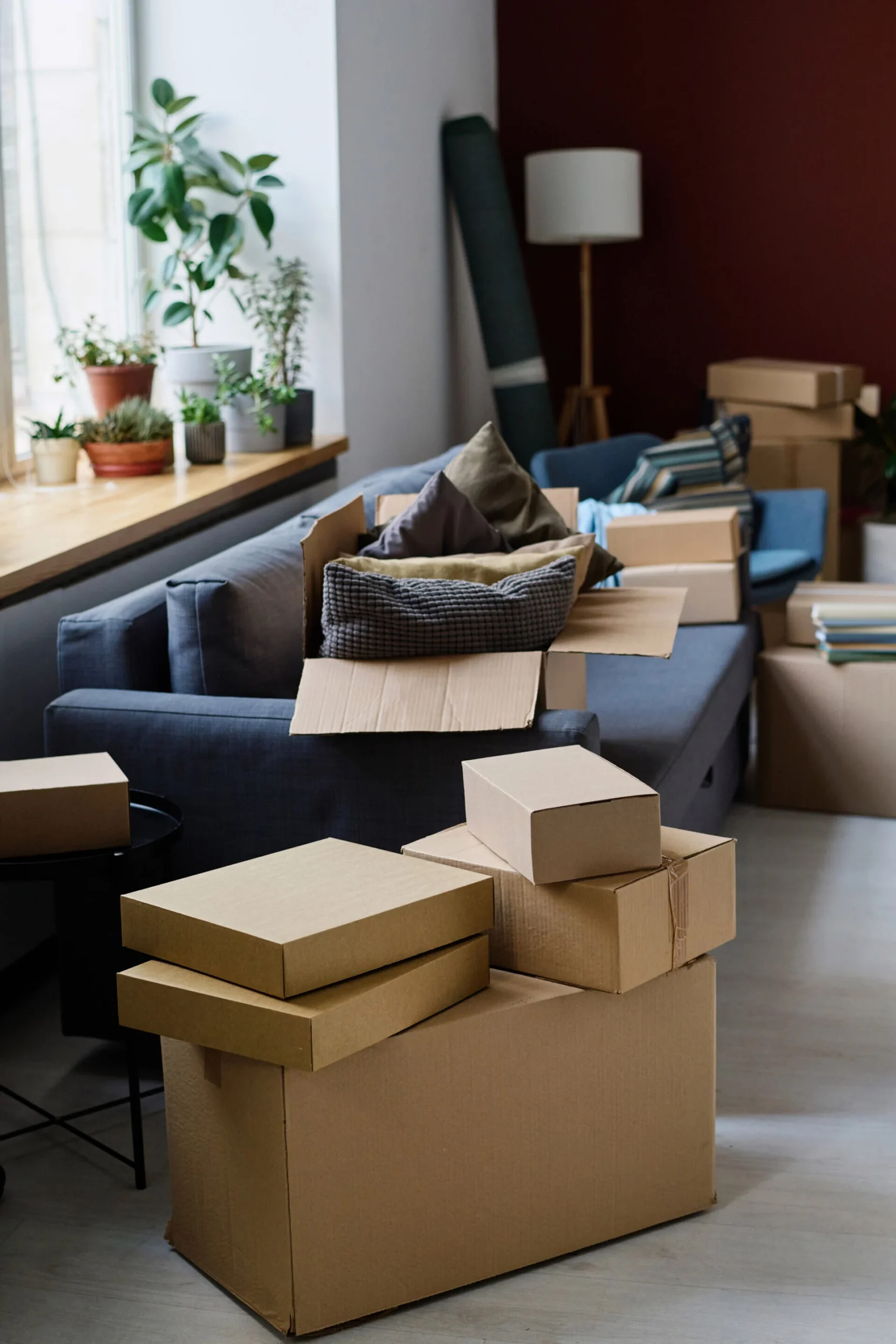 nouveaux arrivants brehan